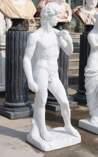 Large Michelangelo‘s David Marble Sculpture