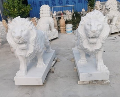 Roaring Marble Lion Sculptures Pair