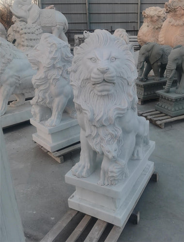 Florentine Lion Marble Statues Pair