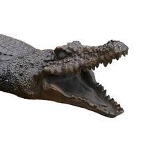 Load image into Gallery viewer, Life Size Alligator Fountain Sculpture