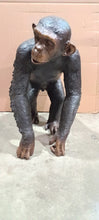 Load image into Gallery viewer, Large Walking Bronze Chimpanzee “Chimp” Statue