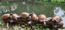 Load image into Gallery viewer, Turtles on a Log Bronze Sculpture