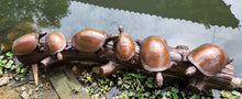 Load image into Gallery viewer, Turtles on a Log Bronze Sculpture