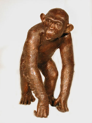 Large Walking Bronze Chimpanzee Statue