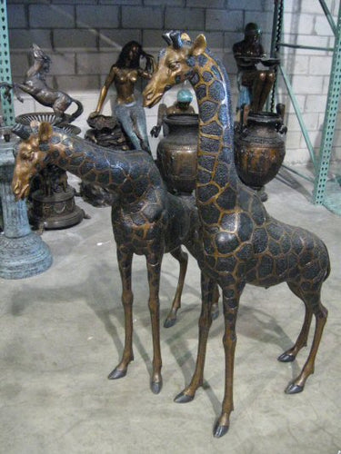 Young Bronze Giraffe Statues - Pair