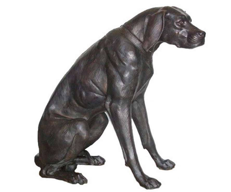 Bronze Sitting Redbone Coon Hound Statue