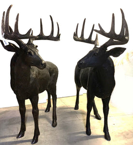 Life Size Bronze Whitetail Deer Buck Statues Set - 76”H