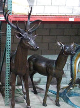 Load image into Gallery viewer, Bronze Buck and Doe Deer Sculptures Set