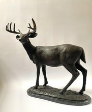 Load image into Gallery viewer, Standing Whitetail Deer Buck Bronze Sculpture