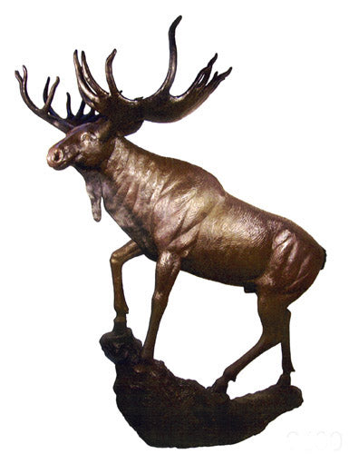 Life Size Moose on Rock Bronze Sculpture