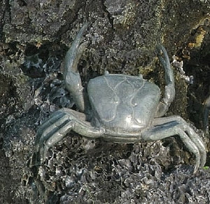 Small Bronze Crab Sculpture