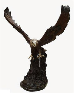 Descent of the American Bald Eagle