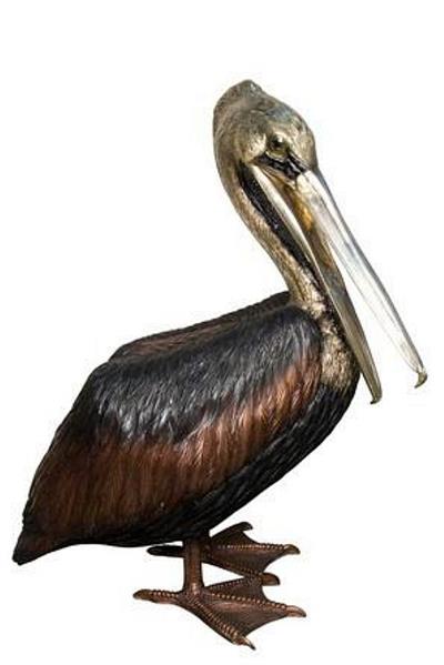 Large Resting Pelican Sculpture