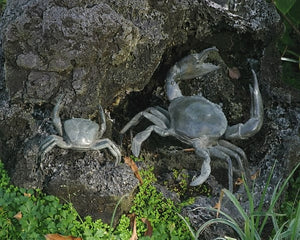 Small and Large Bronze Crab Sculptures - Set